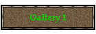 Gallery 1