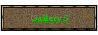 Gallery 5